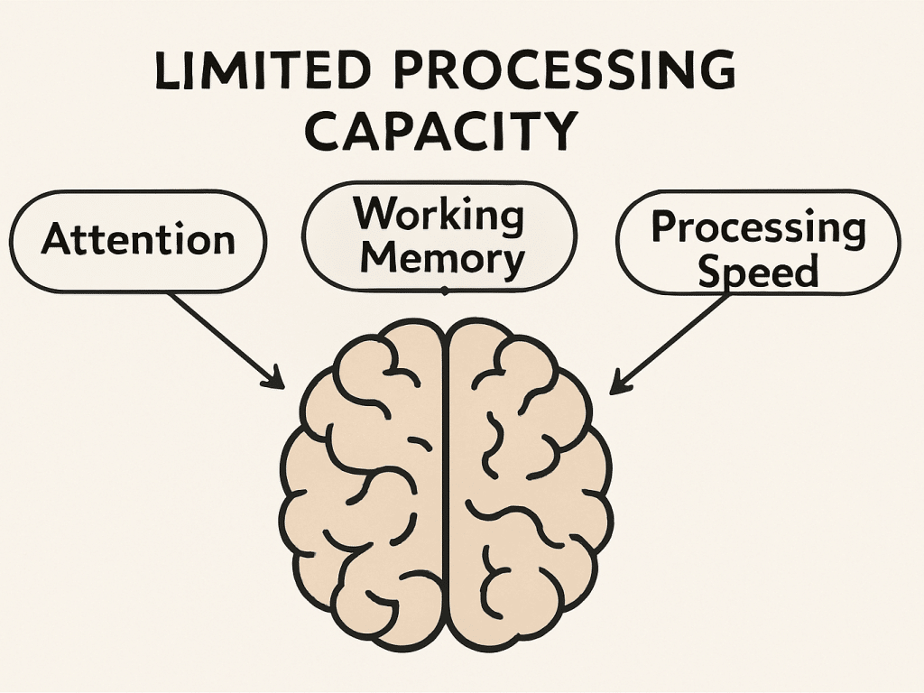 the cognitive load theory concept - brain picture